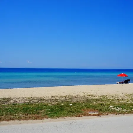 Bouganvillia Plage